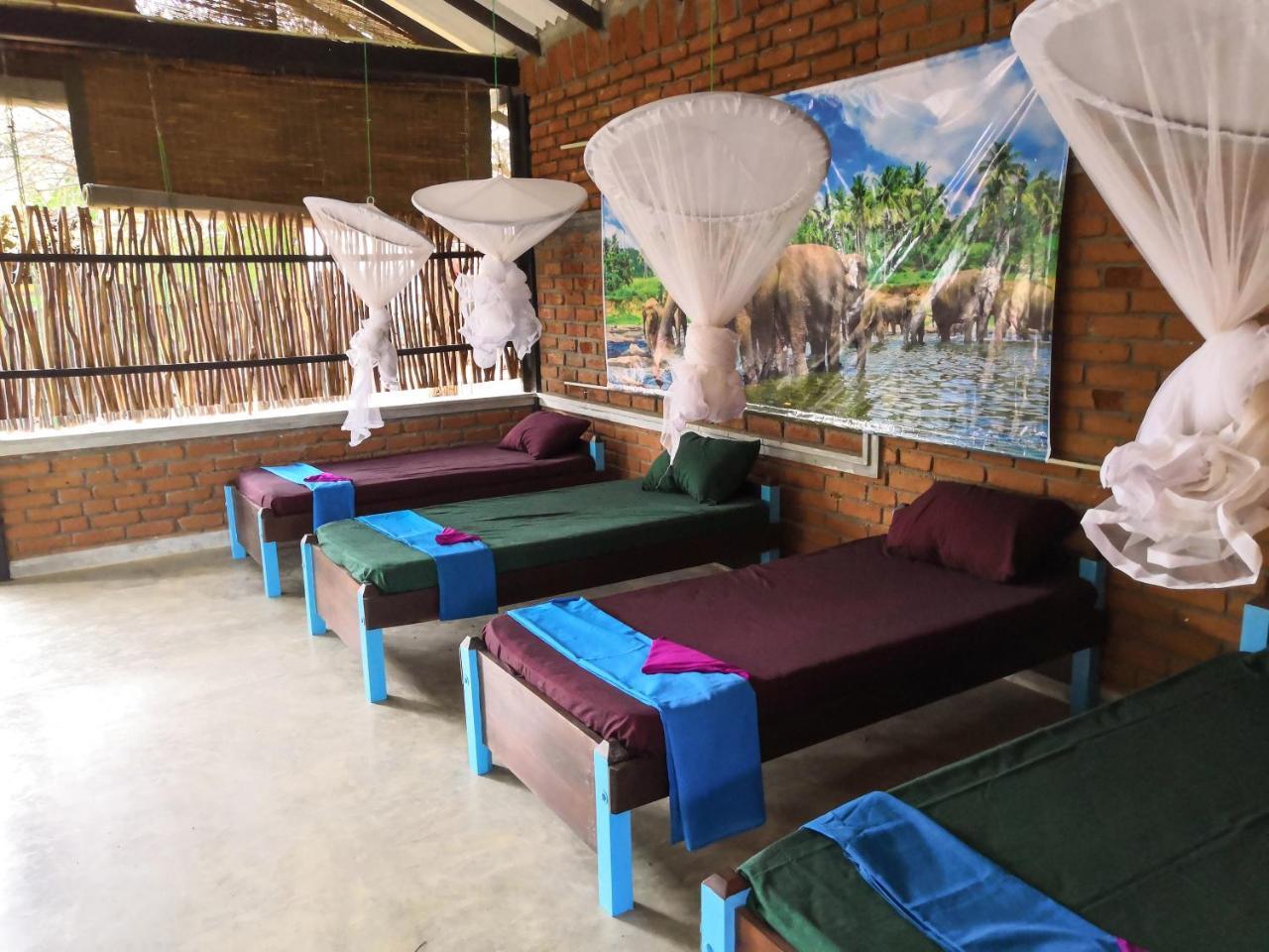 Auberge de jeunesse Yala Yin Yang à Palatupana Extérieur photo