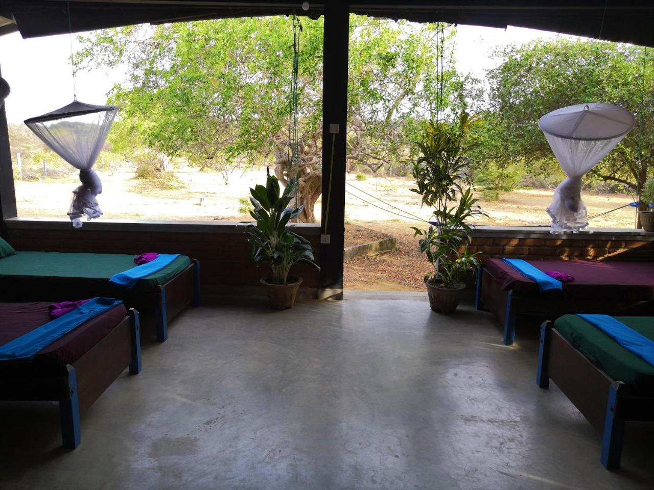 Auberge de jeunesse Yala Yin Yang à Palatupana Extérieur photo