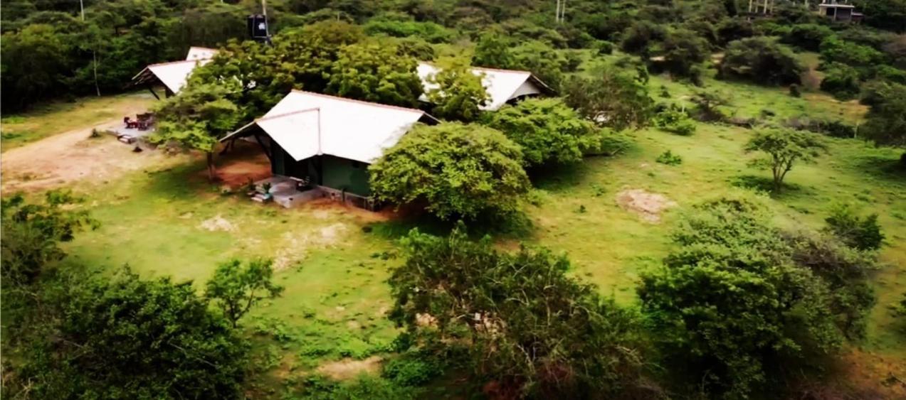 Auberge de jeunesse Yala Yin Yang à Palatupana Extérieur photo