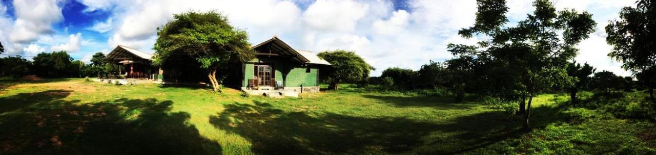 Auberge de jeunesse Yala Yin Yang à Palatupana Extérieur photo