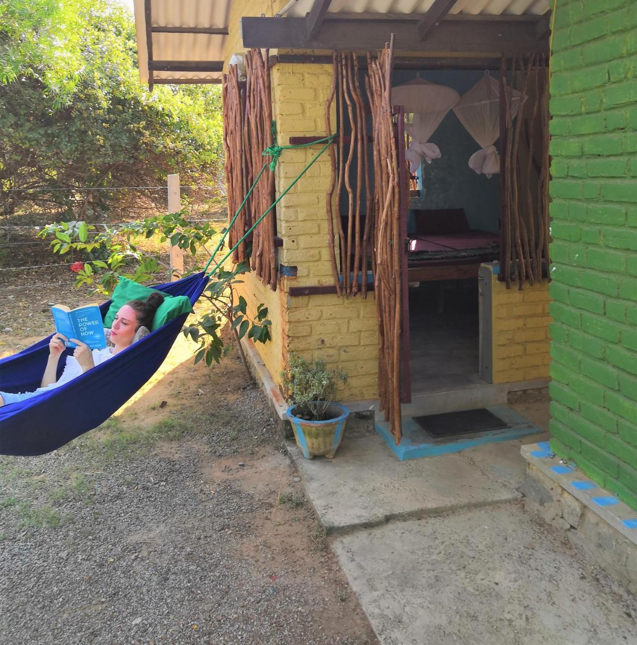 Auberge de jeunesse Yala Yin Yang à Palatupana Extérieur photo