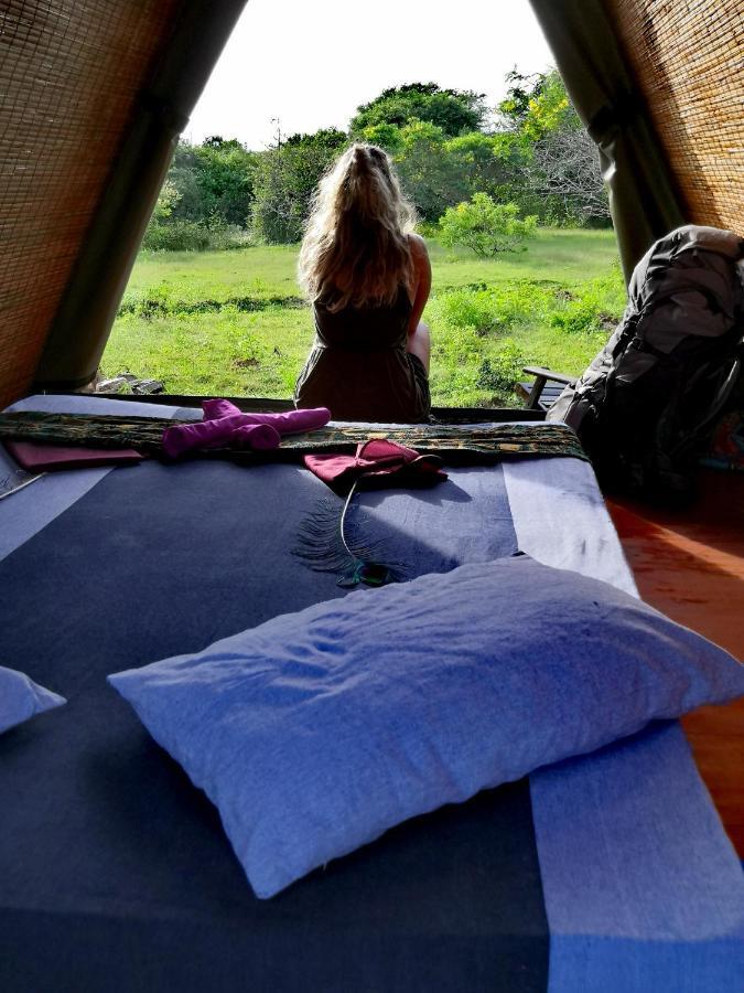 Auberge de jeunesse Yala Yin Yang à Palatupana Extérieur photo