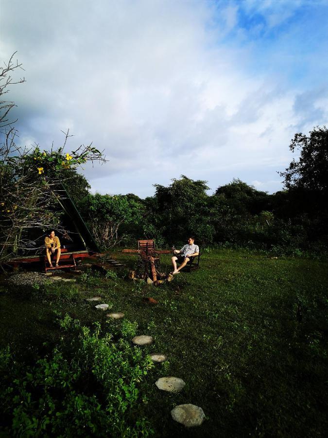Auberge de jeunesse Yala Yin Yang à Palatupana Extérieur photo